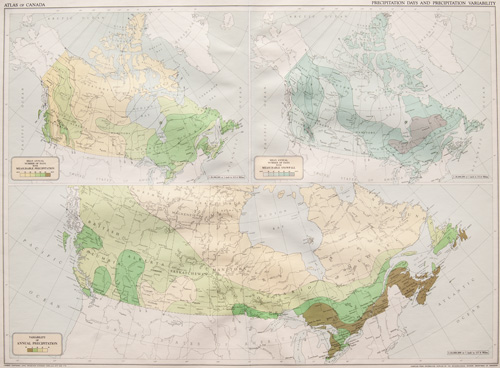 Precipitation Days and Precipitation Variability